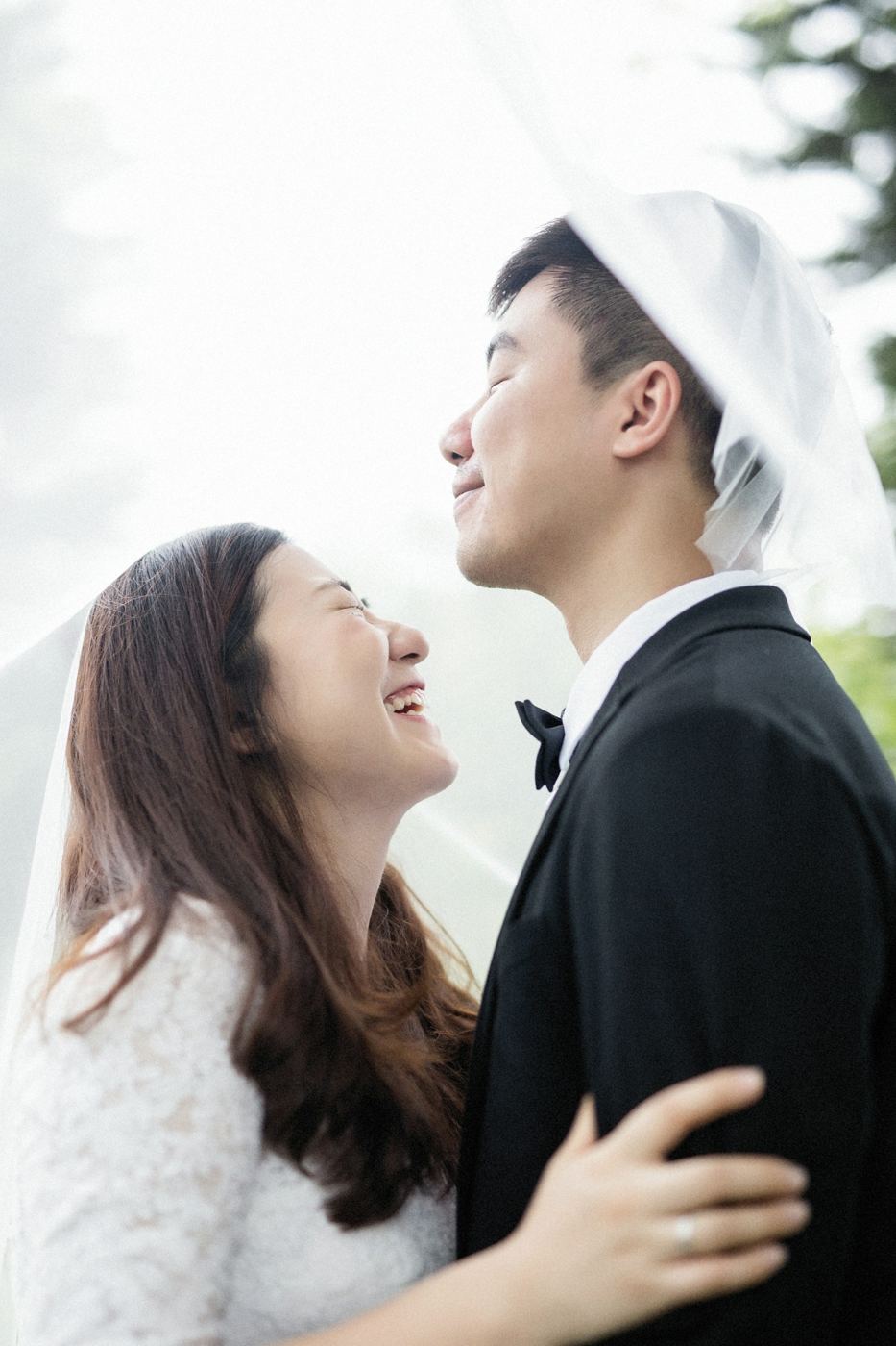 Mẫu 01 Ivory Gold